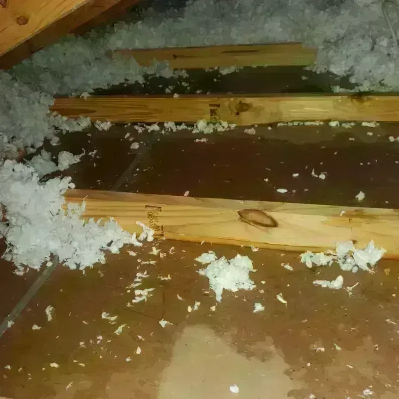 Attic Water Damage in Carlton County, MN