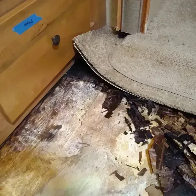 Wood Floor Water Damage in Carlton County, MN